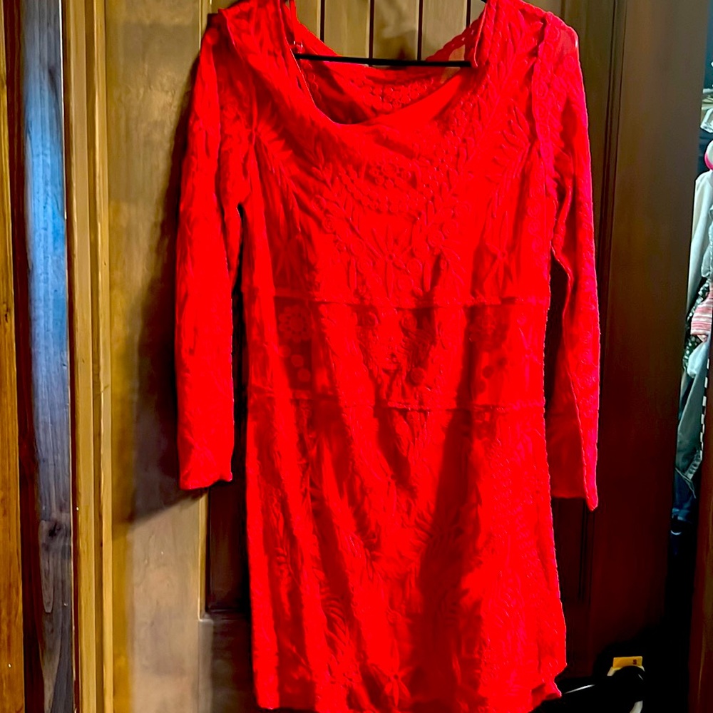 Express red lace dress